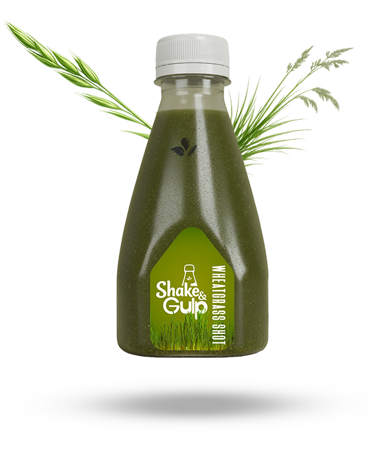 Wheatgrass Shot Drink Bottle