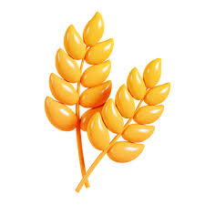 Barley